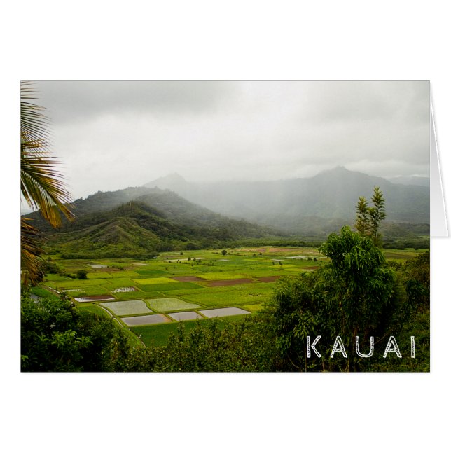 Kauai, Hawaii ・ Lush Fields ・ Landschaft (Vorderseite (Horizontal))