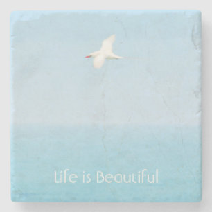 Kauai Hawaii Ozean Rot Schwanz-Tropikvogel fliegt  Steinuntersetzer