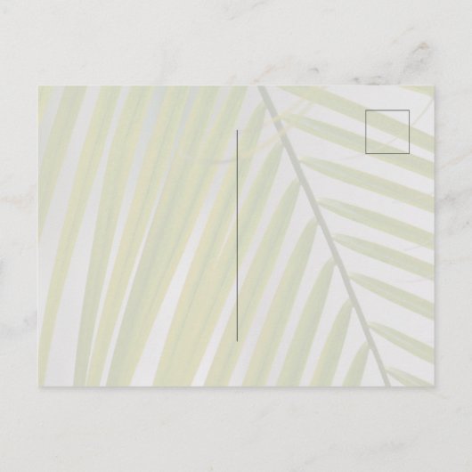 Kauai Hawaii Palm Tree Postkarte (Rückseite)