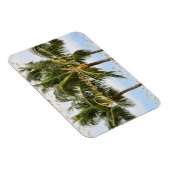 Kauai Hawaii Palm Trees Gold Dream Magnet (Rechte Seite)