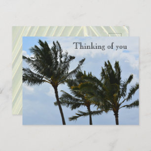 Kauai Hawaii Palm Trees Postkarte