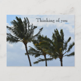 Kauai Hawaii Palm Trees Postkarte