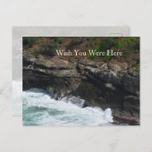 Kauai Hawaii Peacock Feathers Postkarte (Vorne/Hinten)