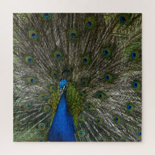 Kauai Hawaii Peacock Feathers Puzzle