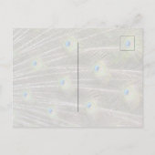 Kauai Hawaii Peacock Postkarte (Rückseite)