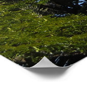 Kauai, Hawaii Poster (Ecke)