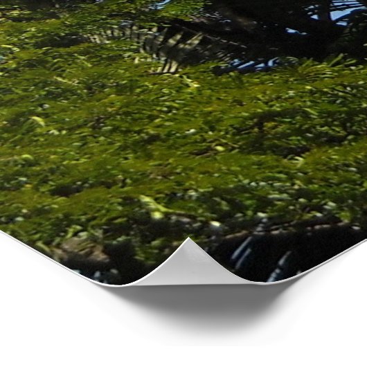 Kauai, Hawaii Poster (Ecke)