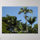 Kauai, Hawaii Poster (Vorne)
