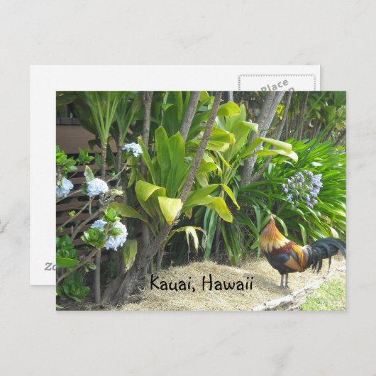 Kauai, Hawaii Postkarte (Vorne/Hinten)