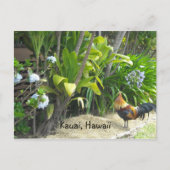 Kauai, Hawaii Postkarte (Vorderseite)