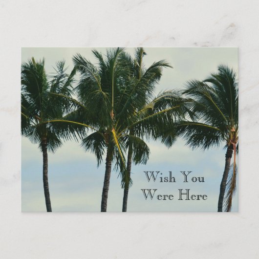 Kauai Hawaii Tropical Palm Trees Postkarte (Vorderseite)