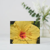 Kauai Hawaii Yellow Hibiskus Blume Postkarte (Stehend Vorderseite)