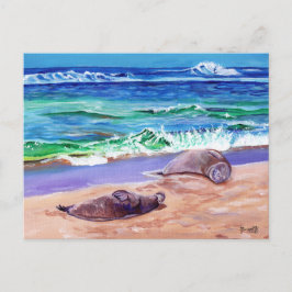 Kauai Hawaiian Monk Siegel auf der Poipu Beach Pos Postkarte