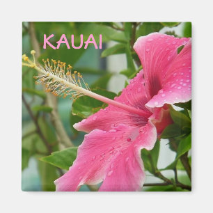 Kauai Hawaiian Tropical Blume Hibiskus Magnet