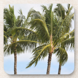 Kauai Palm Getränkeuntersetzer