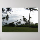 Kauai Palm Poster (Vorne)