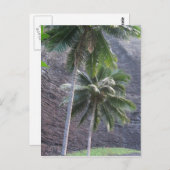 Kauai Palm Trees Postcard Postkarte (Vorne/Hinten)
