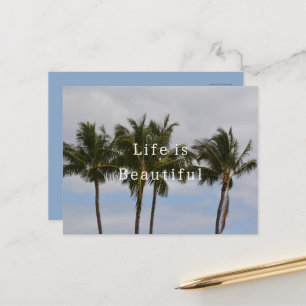 Kauai-Palmen (von mir fotografiert) Postkarte