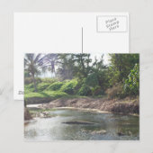 Kauai Paradise Postcard Postkarte (Vorne/Hinten)