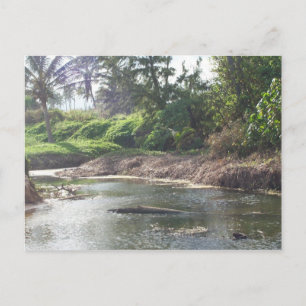 Kauai Paradise Postcard Postkarte
