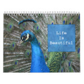 Kauai Peacock Feathers Kalender (Titelbild)