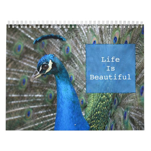 Kauai Peacock Feathers Kalender (Titelbild)