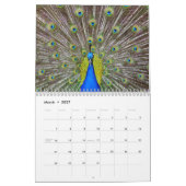 Kauai Peacock Feathers Kalender (Mär 2027)
