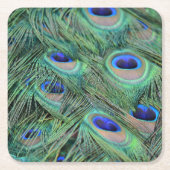 Kauai Peacock Feathers Rechteckiger Pappuntersetzer (Vorderseite)