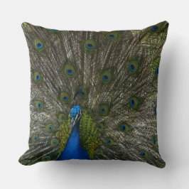 Kauai Peacock Kissen