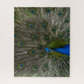 Kauai Peacock Puzzle (Vertikal)