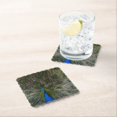 Kauai Peacock Untersetzer (Vor Ort)