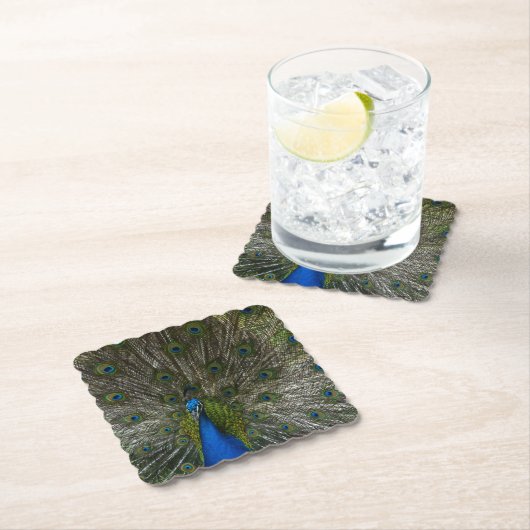 Kauai Peacock Untersetzer (Vor Ort)