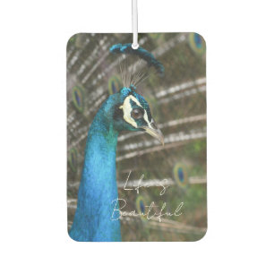 Kauai-Pfau  Autolufterfrischer