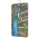 Kauai-Pfau  Autolufterfrischer (Links)