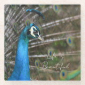 Kauai-Pfau  Glasuntersetzer (Vorderseite)