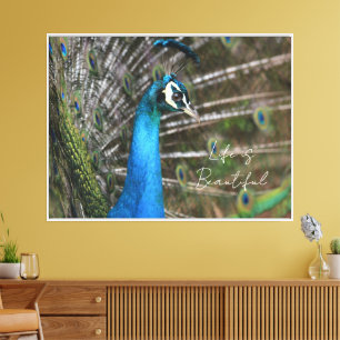 Kauai-Pfau Leinwanddruck