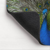 Kauai-Pfau Mousepad (Ecke)