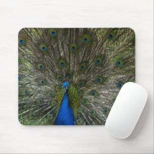 Kauai-Pfau Mousepad