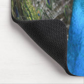 Kauai-Pfau  Mousepad (Ecke)