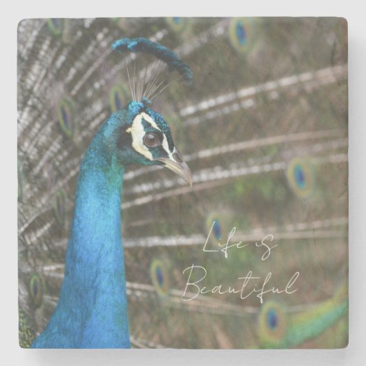 Kauai-Pfau  Steinuntersetzer (Vorderseite)