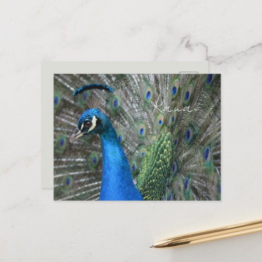 Kauai-Pfauenfedern Postkarte (Vorderseite/Rückseite Beispiel)