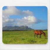 Kauai-Pferd Vista Mousepad (Vorne)