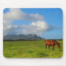 Kauai-Pferd Vista