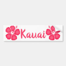 Kauai Pink Hibiskus