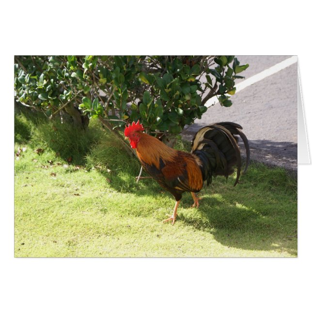 Kauai Rooster Card (Vorderseite (Horizontal))