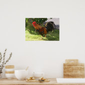 Kauai Rooster Poster (Küche)