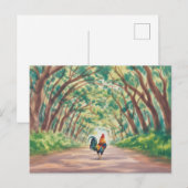 Kauai  Rooster walking towards tree tunnel Postkarte (Vorne/Hinten)