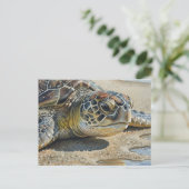 Kauai Sea Turtle Close up Postkarte (Stehend Vorderseite)