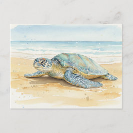 Kauai  Sea Turtles Resting at the Beach Postkarte