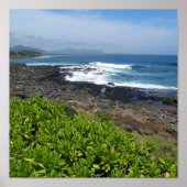 Kauai succulents 2 poster (Vorne)